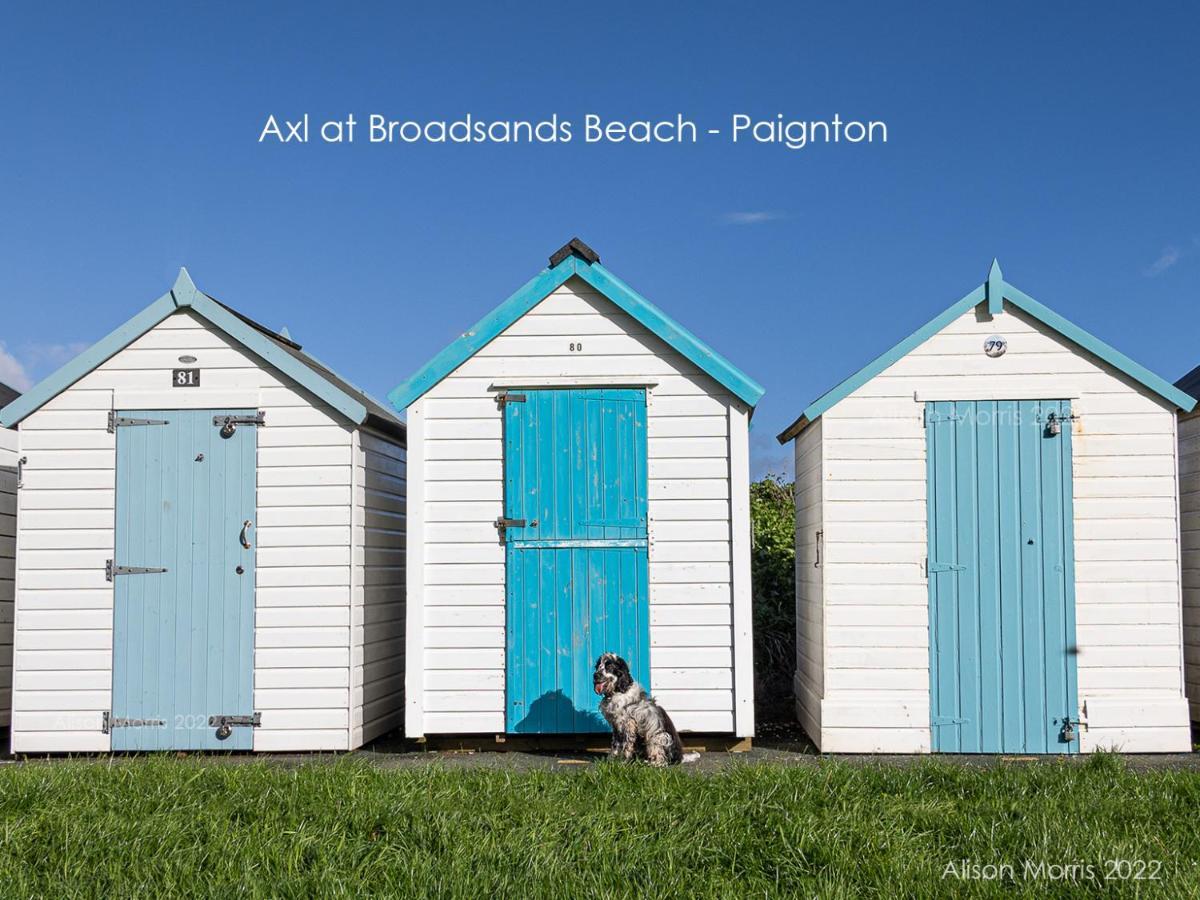 Dart Haven - Cheerful Holiday Bungalow In Galmpton 외부 사진