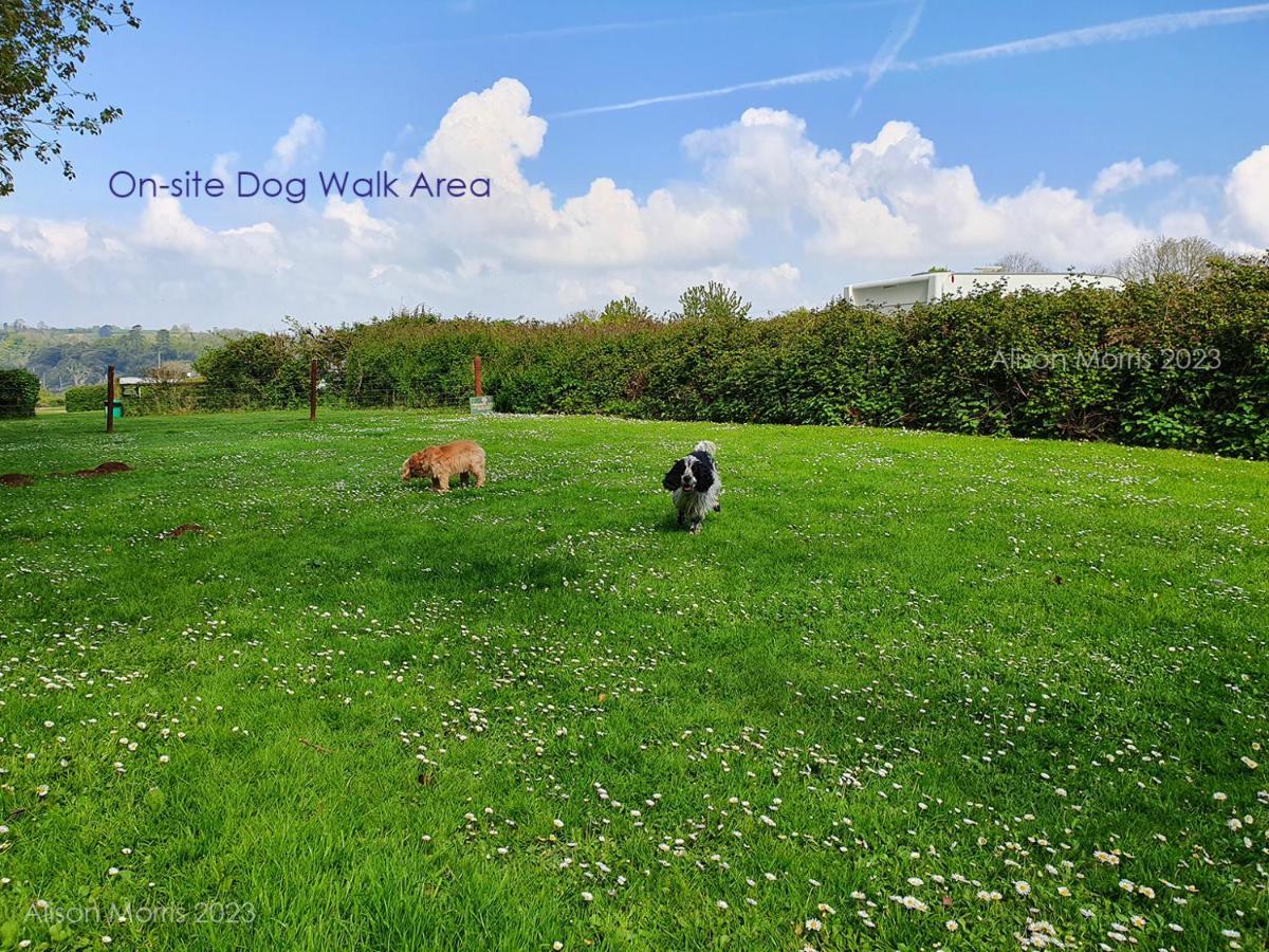 Dart Haven - Cheerful Holiday Bungalow In Galmpton 외부 사진